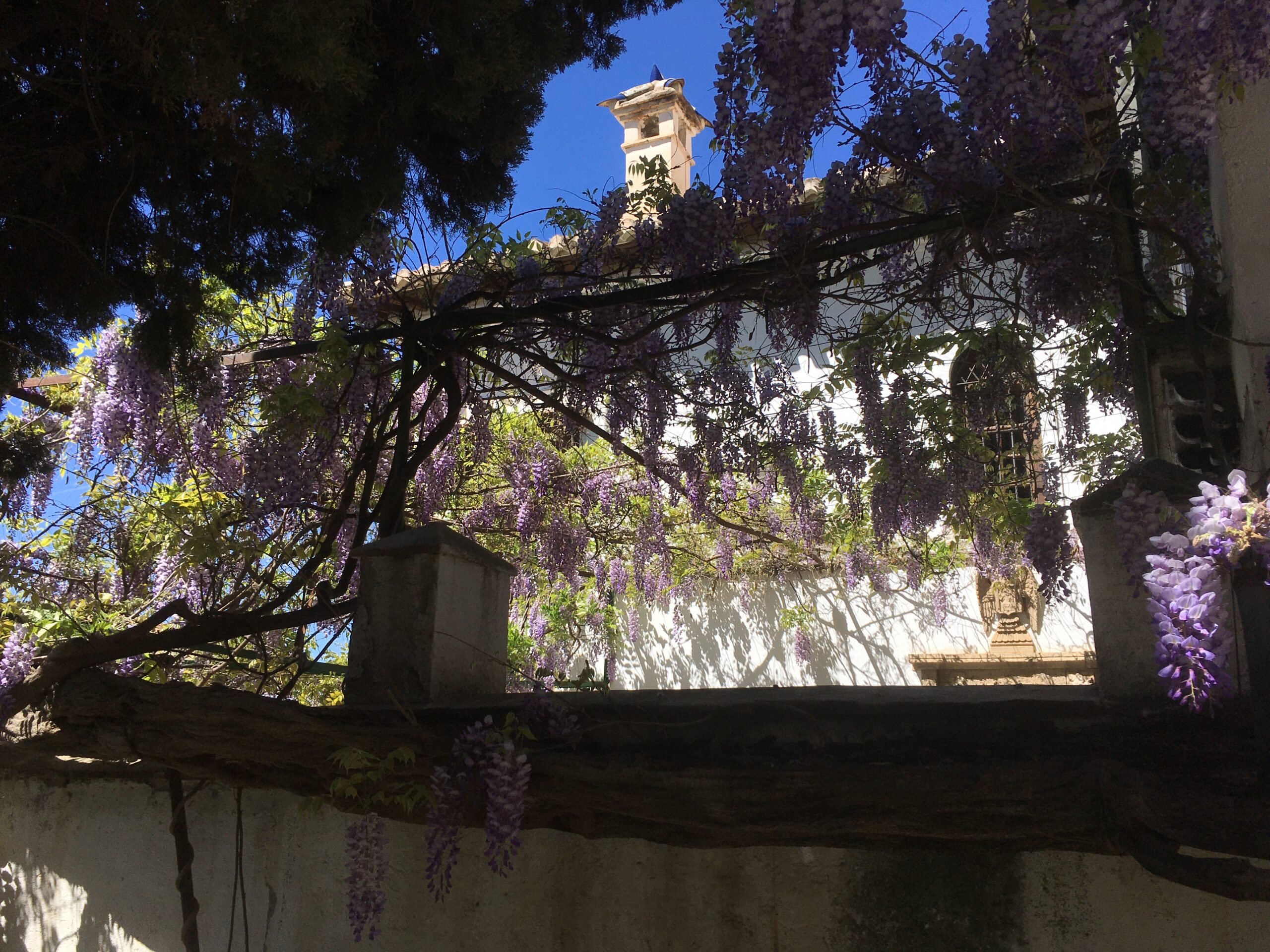 Foto 3-4-23 13 14 10