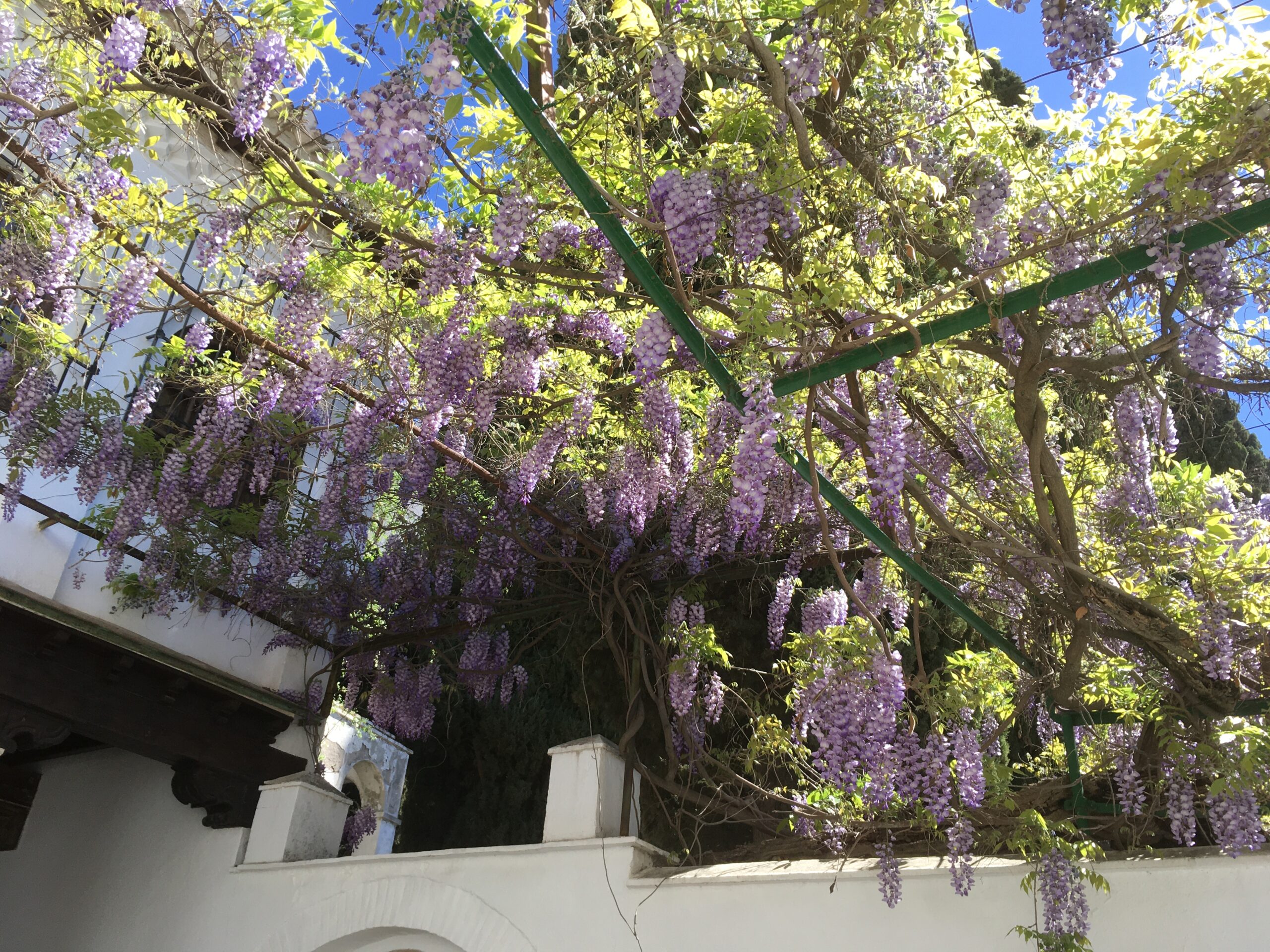 Foto 3-4-23 13 14 59