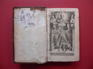 P1110264bis